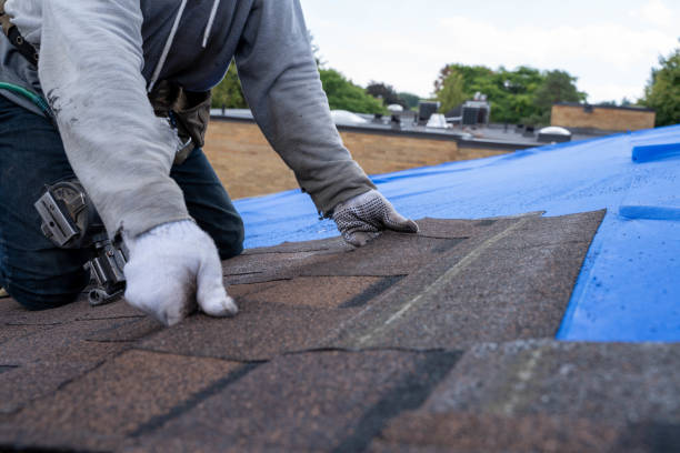 Quick and Trustworthy Emergency Roof Repair Services in Elizabeth, CO